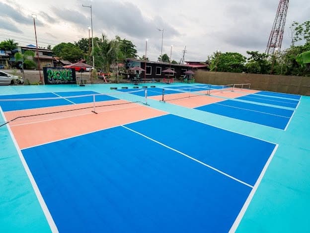 Pickleball pickleball court
